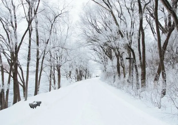 Winter