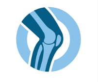 Orthopaedic