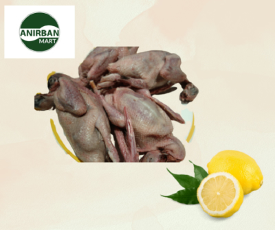 Pigeon Meat- কবুতরের মাংস -প্রতি পিস্ 