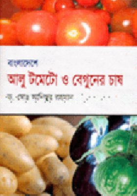 বাংলাদেশে আলু টমেটো ও বেগুনের চাষ