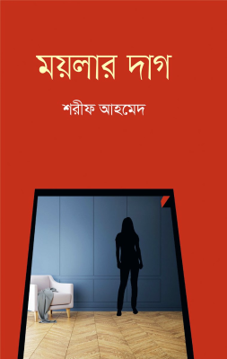 ময়লার দাগ