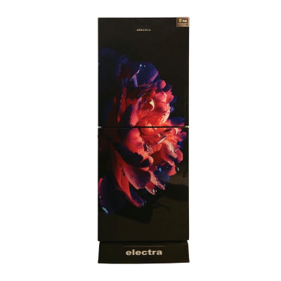 Electra Refrigerator 250L | ER250RE/PB | Frost