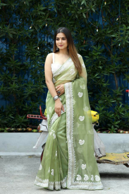 Organza Saree With Kashmiri Thread Work in Full saree