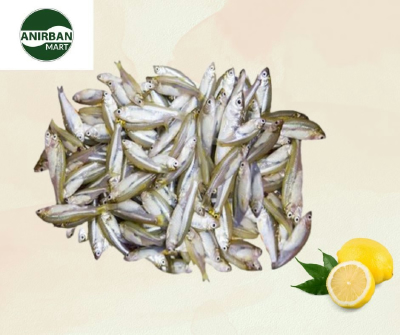 Mola Fish (মলা  মাছ)- 1Kg