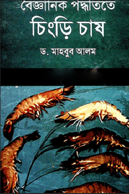 বৈজ্ঞানিক পদ্ধতিতে চিংড়ি চাষ