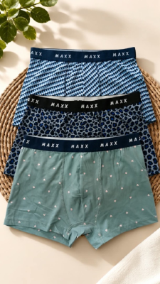 MAXX Boxer