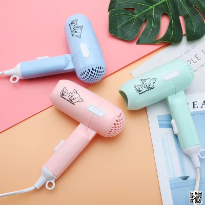 Mini Hair Dryer RE-2030
