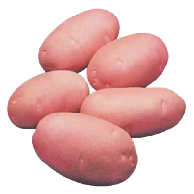 Lal Alu (Red Potato Cardinal)- 1 kg