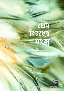প্রেম বিরহের মাঝে